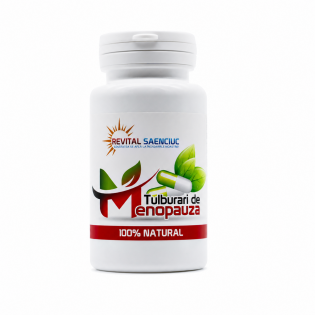 Tulburari de menopauza